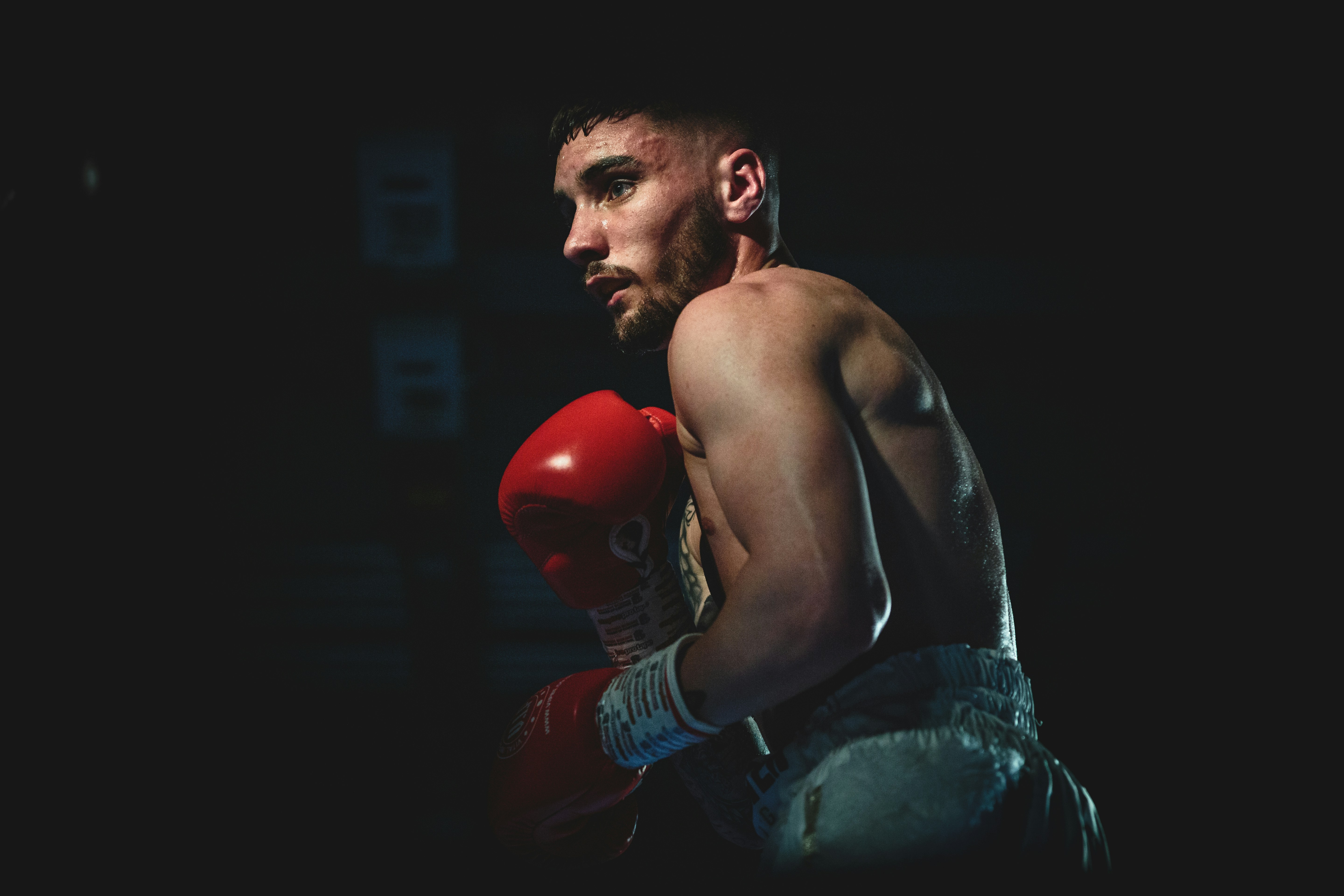 Boxing Gloves